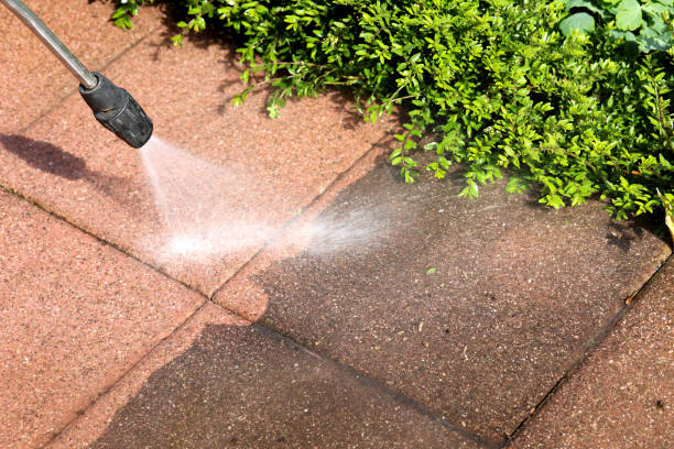 Best Affordable Pressure Washing  in Westminster, TX